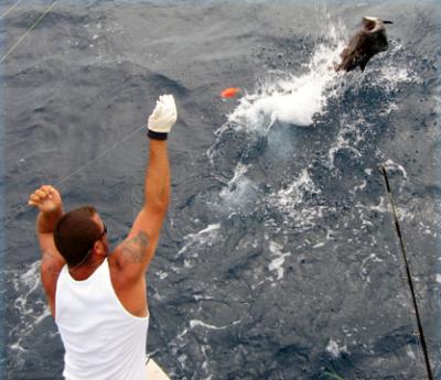 Sail on the leader just before release